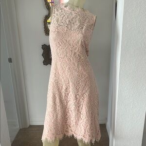 Eliza J Pastel Pink Lace Overlay Dress